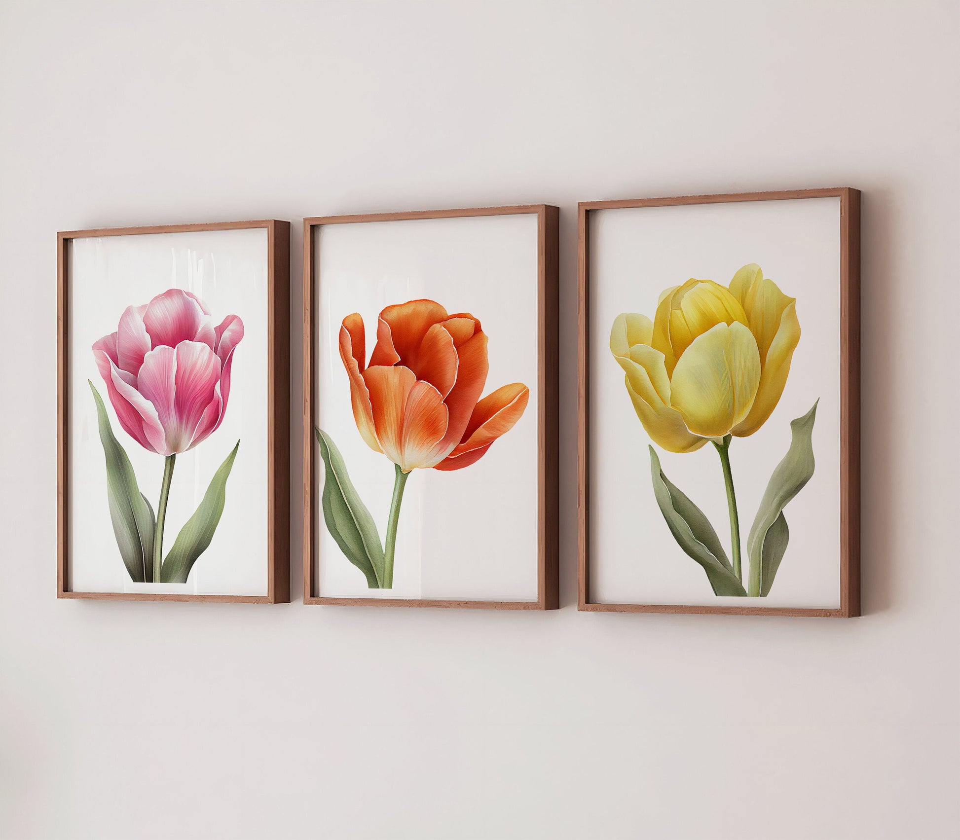 Vibrant Tulips on three individual prints